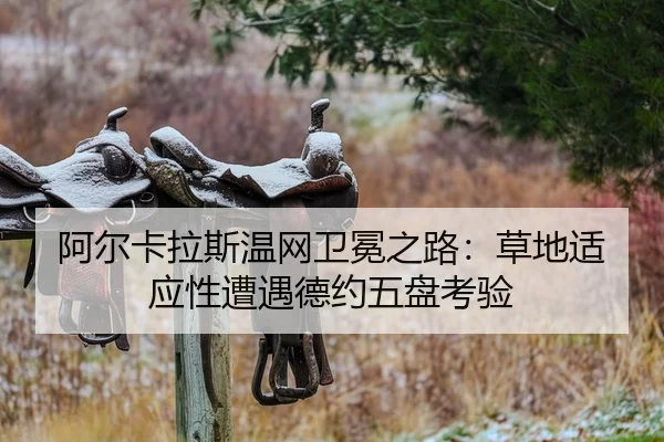 a-er-ka-la-si-wen-wang-wei-mian-zhi-lu-cao-di-shi-ying-xing-zao-yu-de-yue-wu-pan-kao-yan-2-694.jpg