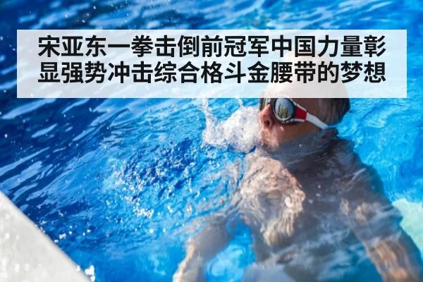 宋亚东一拳击倒前冠军中国力量彰显强势冲击综合格斗金腰带的梦想